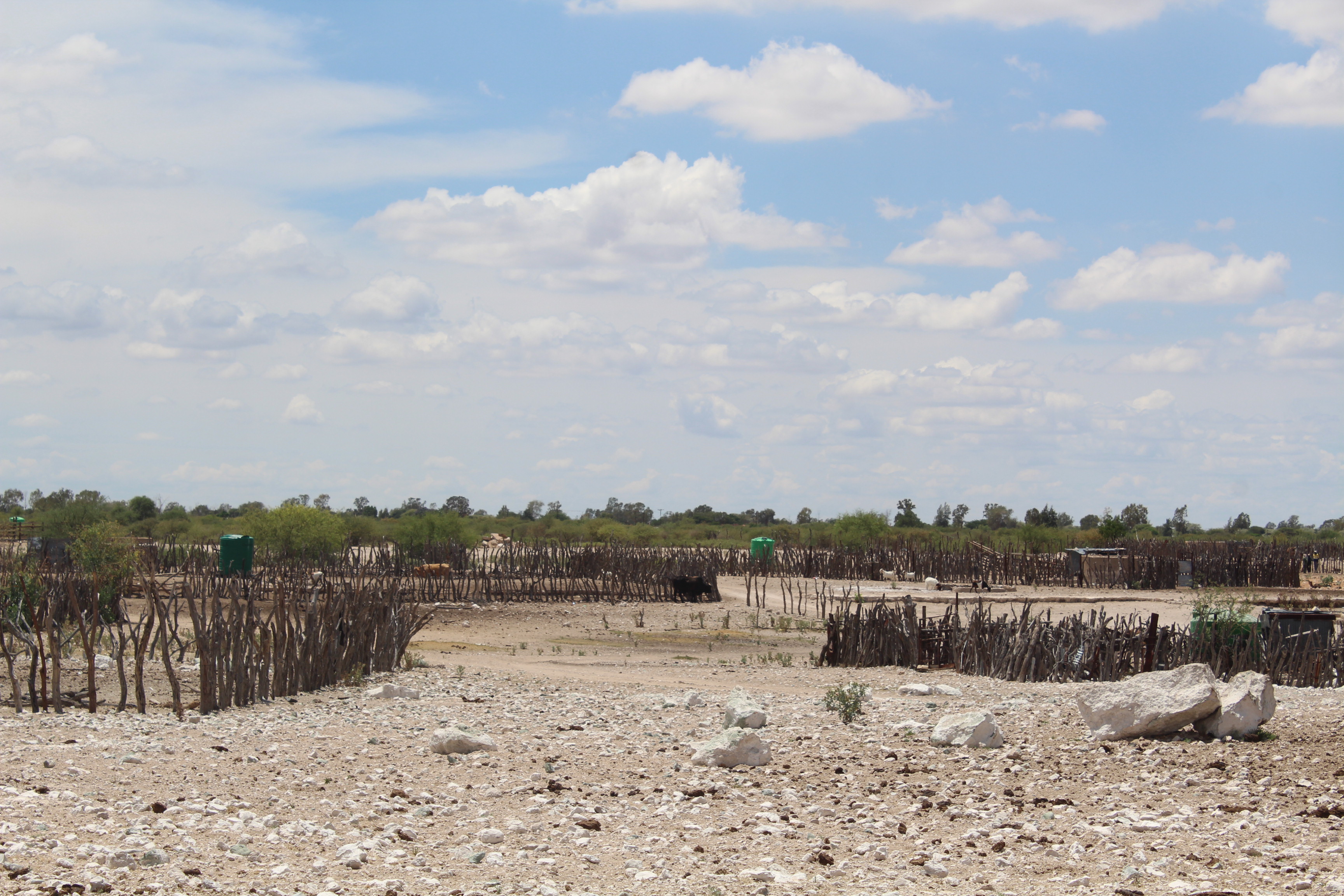 Building water system